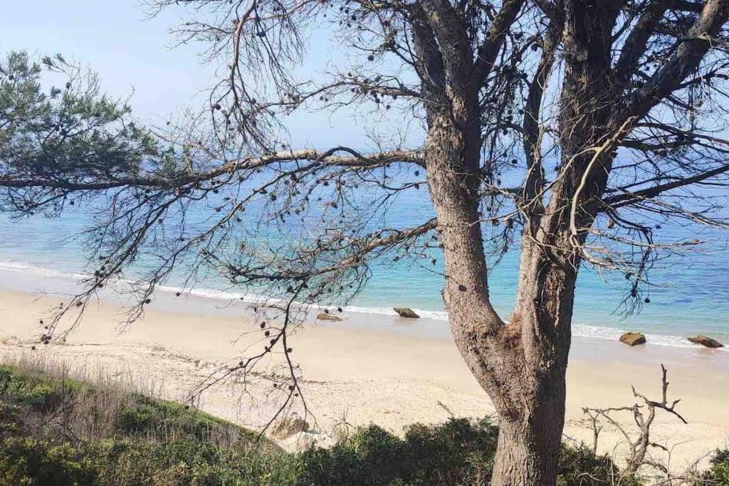 Casita Del Mar A Pie De Playa Apartman Tarifa Kültér fotó